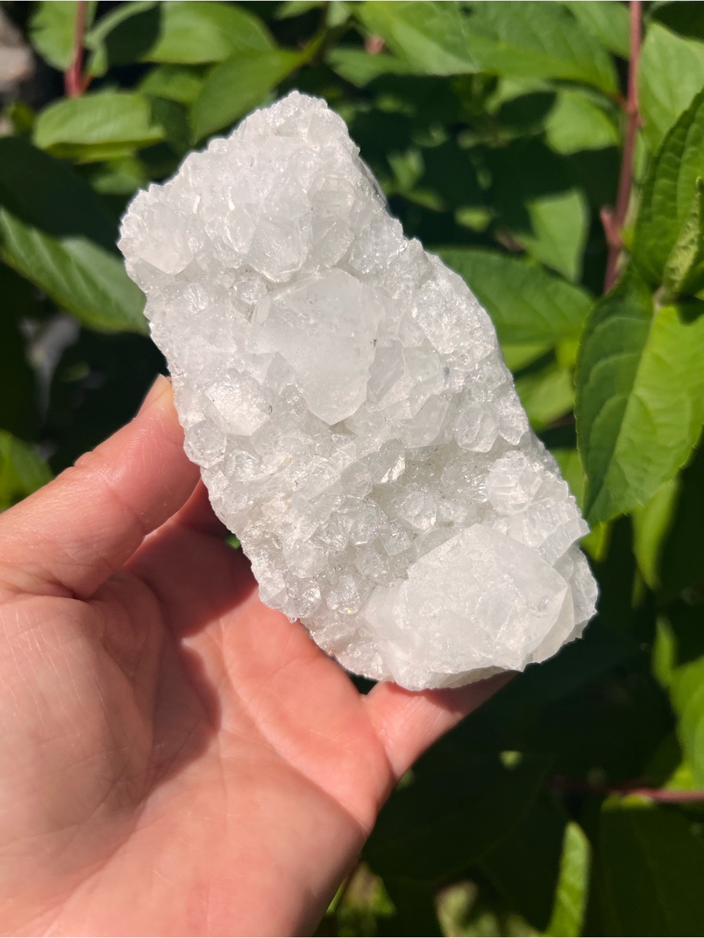 Apophyllite (2) cluster with stand | crystal